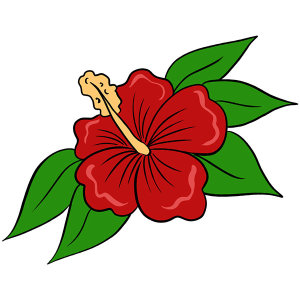 Hibiscus flower in realistic hand-drawn style... - Stock Illustration  [101020679] - PIXTA
