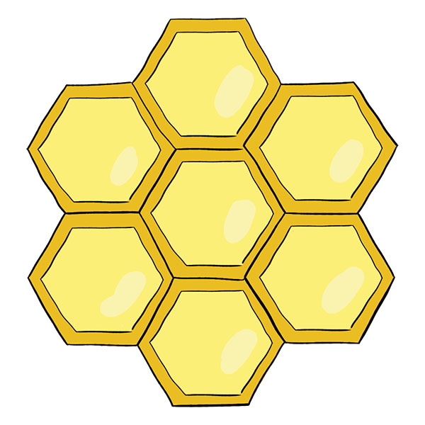 honeycomb drawing