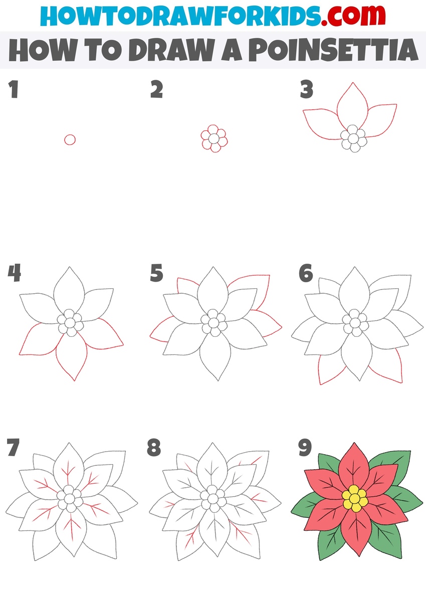 How to draw a poinsettia step by step