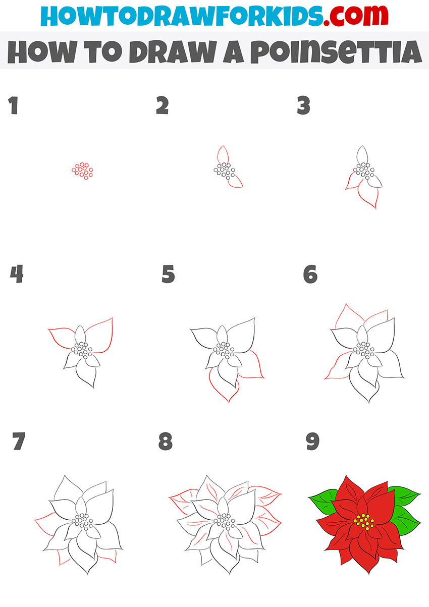 how to draw a poinsettia step by step