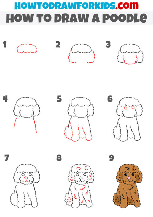 How to Draw a Poodle - Easy Drawing Tutorial For Kids