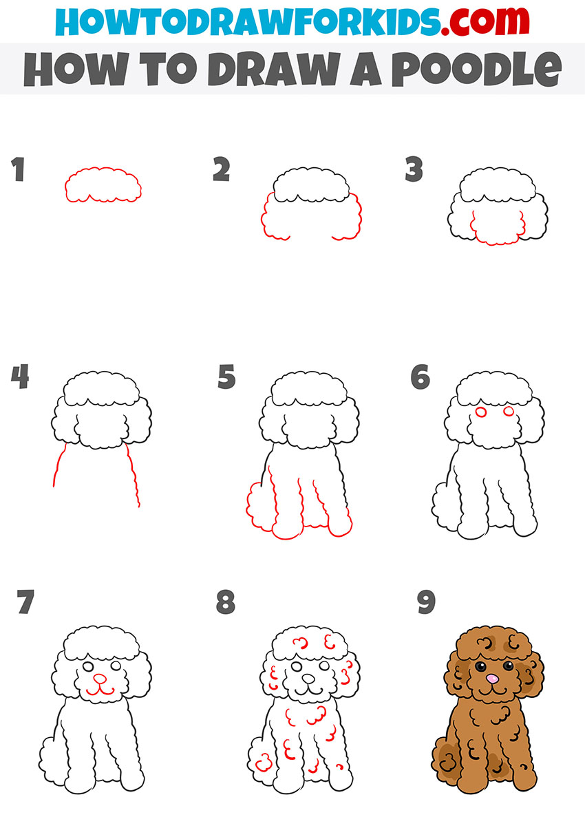 how to draw a poodle step by step