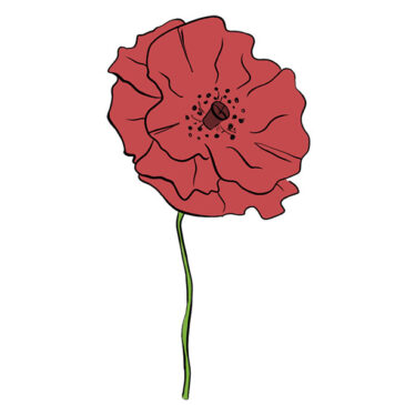 How to Draw a Poppy Flower
