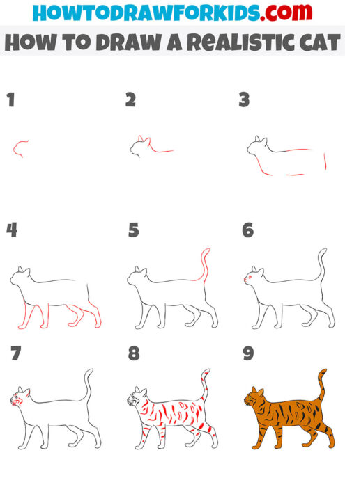 How to Draw a Realistic Cat - Easy Drawing Tutorial For Kids