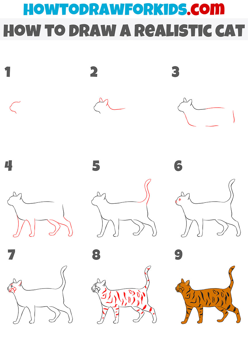 How To Draw A Realistic Cat Easy Drawing Tutorial For Kids