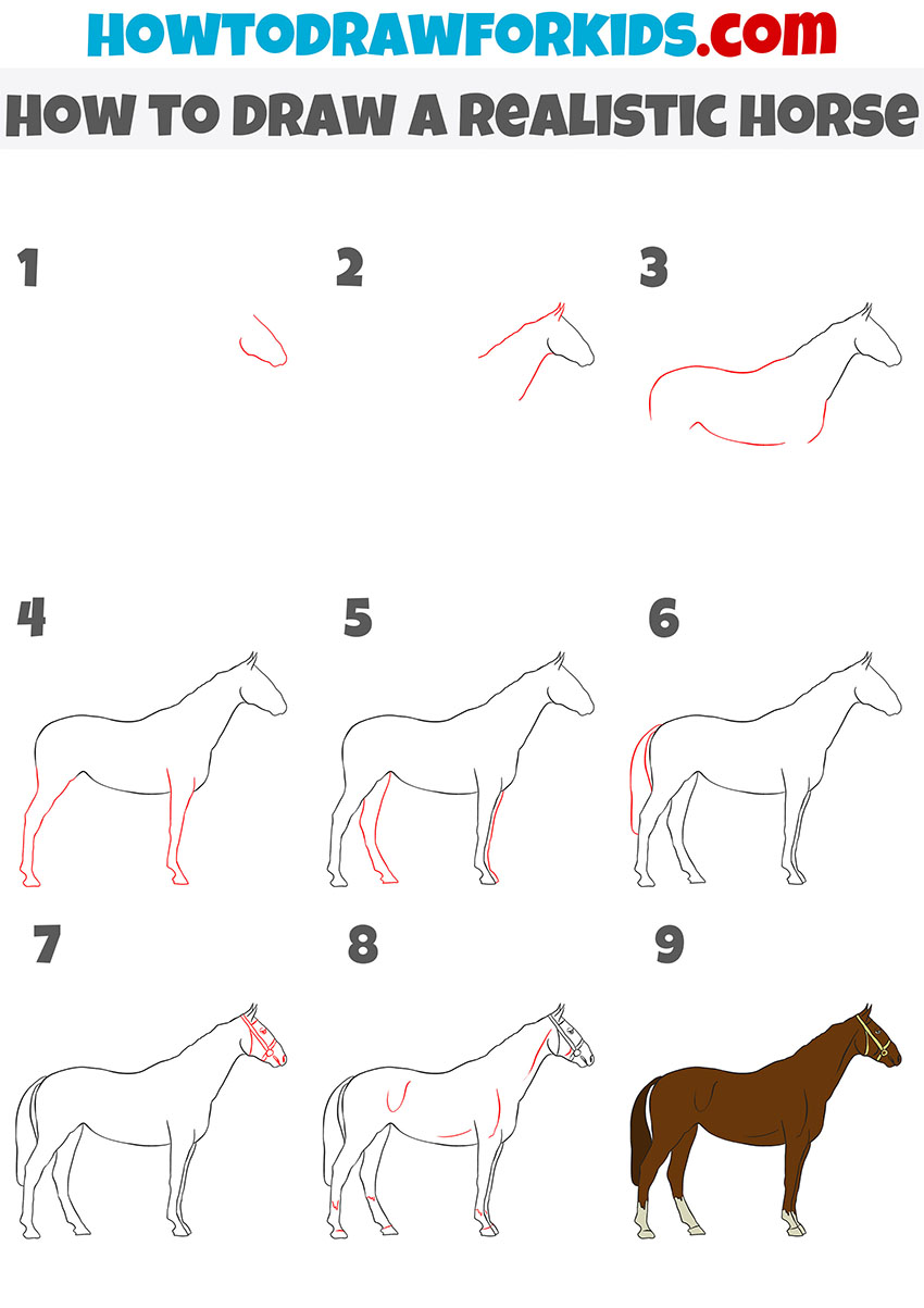 how to draw a realistic horse step by step
