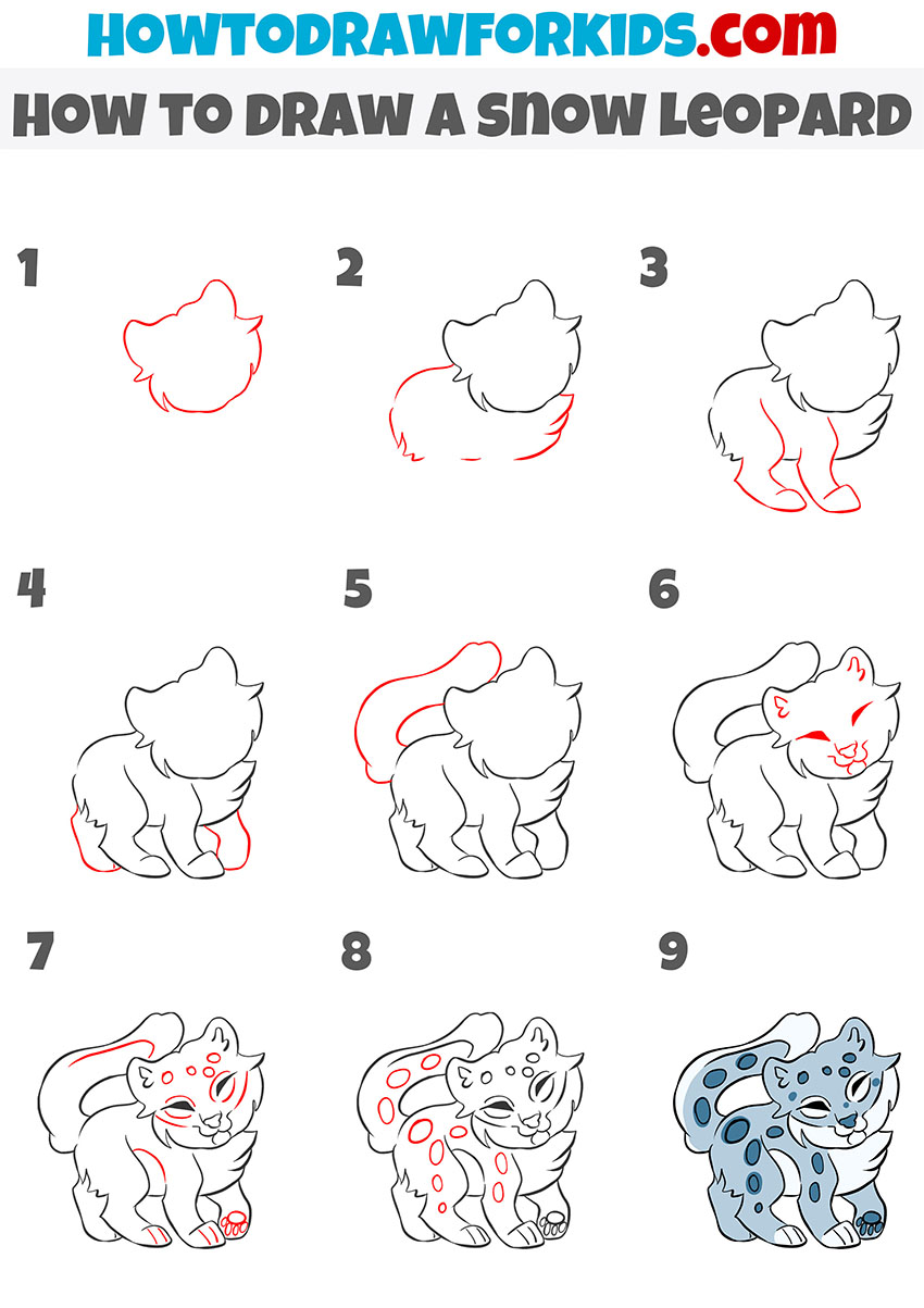 how to draw a snow leopard step by step