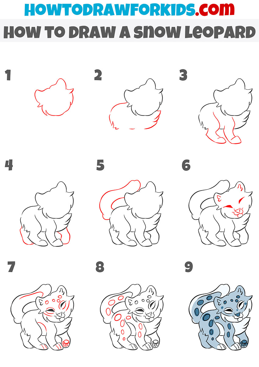 Snow Leopard Drawing  How To Draw A Snow Leopard Step By Step