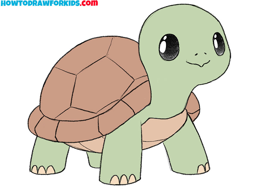 how to draw a turtle featured image