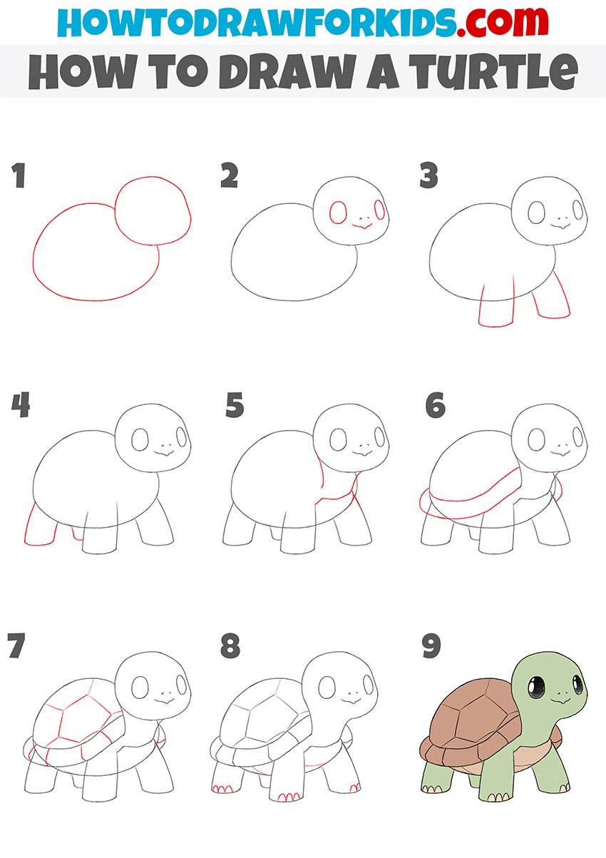 how to draw a turtle step by step