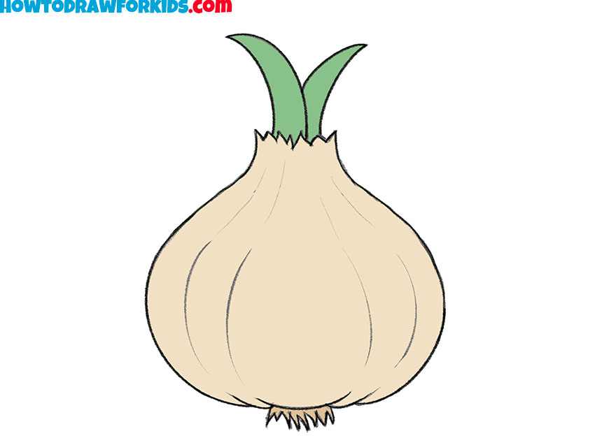 how to draw an onion for kids step by step