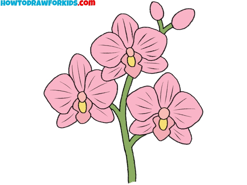 How to draw an orchid featured image