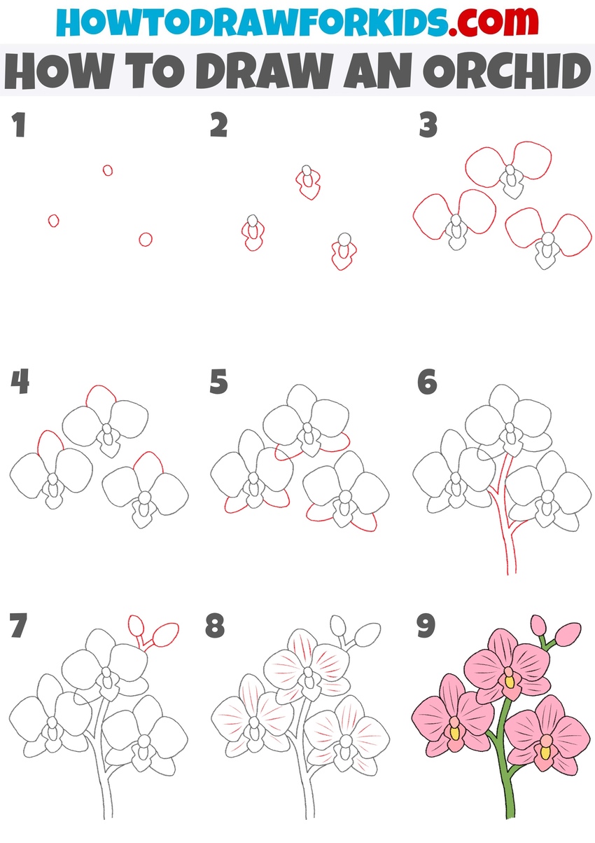 How to draw an orchid step by step