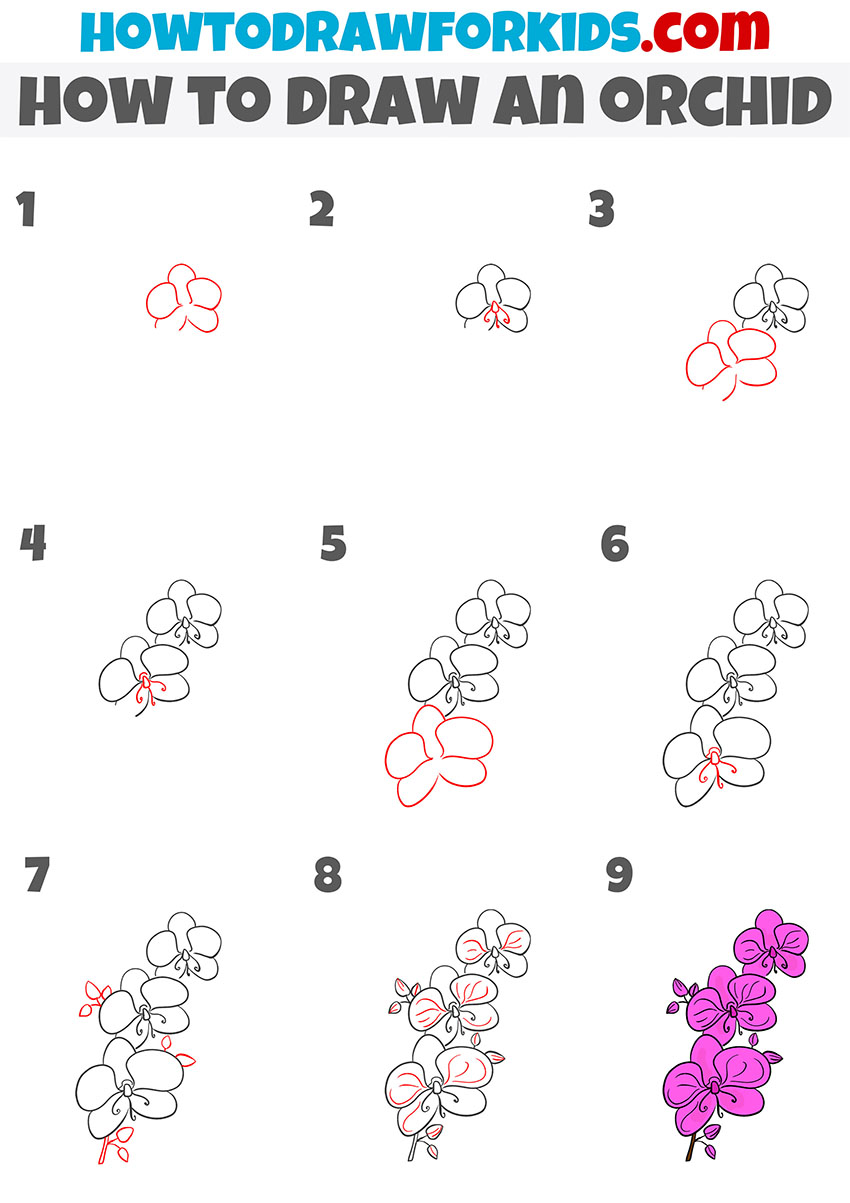 how to draw an orchid step by step