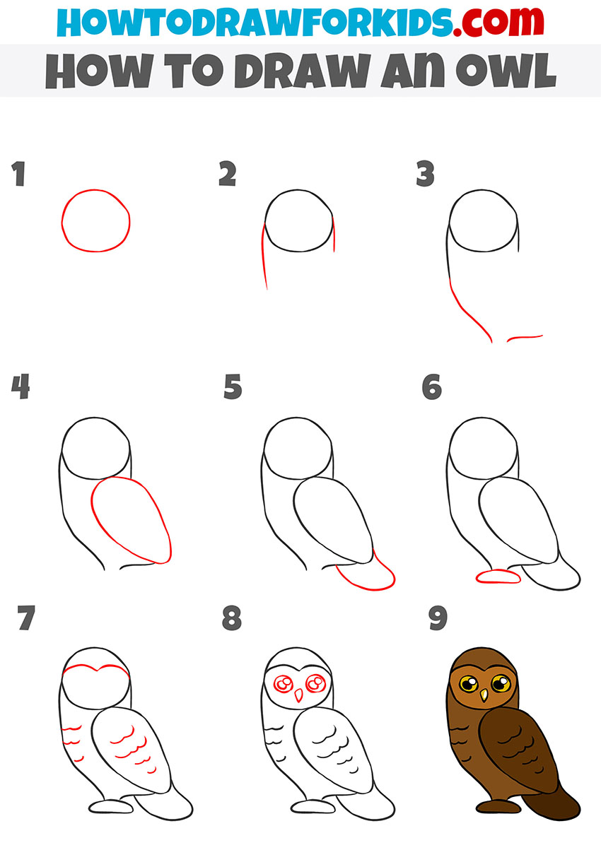 how to draw an owl step by step