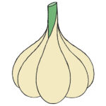 How to Draw Garlic
