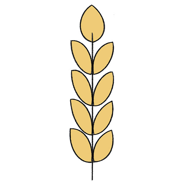 How to Draw Wheat