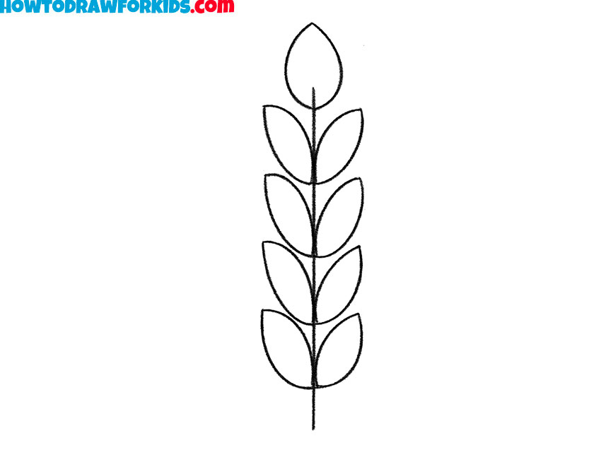 how to draw wheat step by step easy