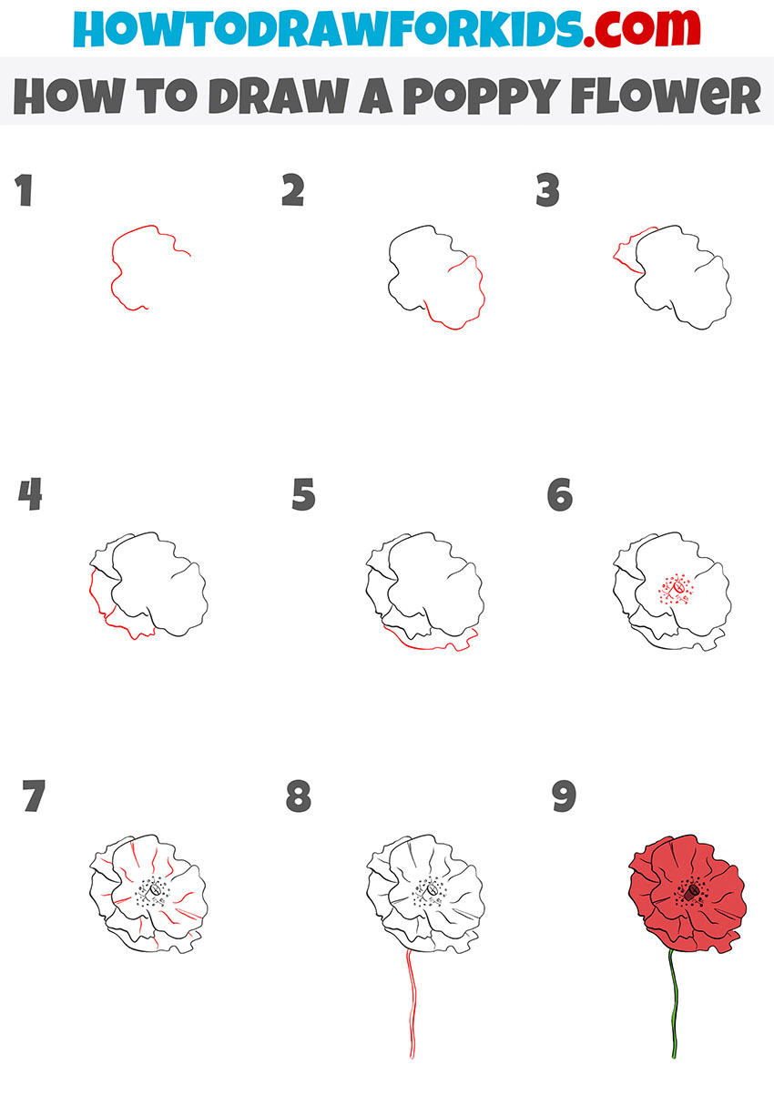 Simple poppy flower drawing tutorial