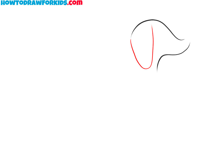 how to draw a dachshund dog