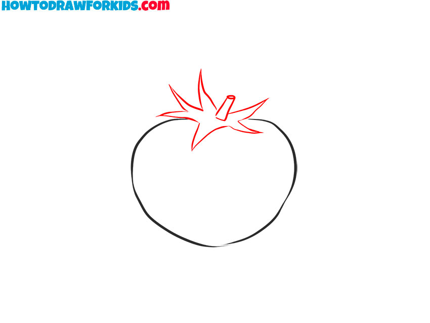 how to draw a tomato for beginners