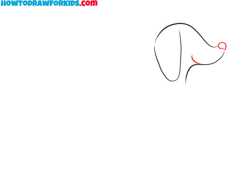 how to draw a dachshund puppy