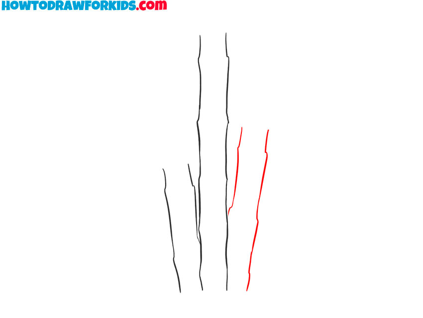 how to draw bamboo cartoon