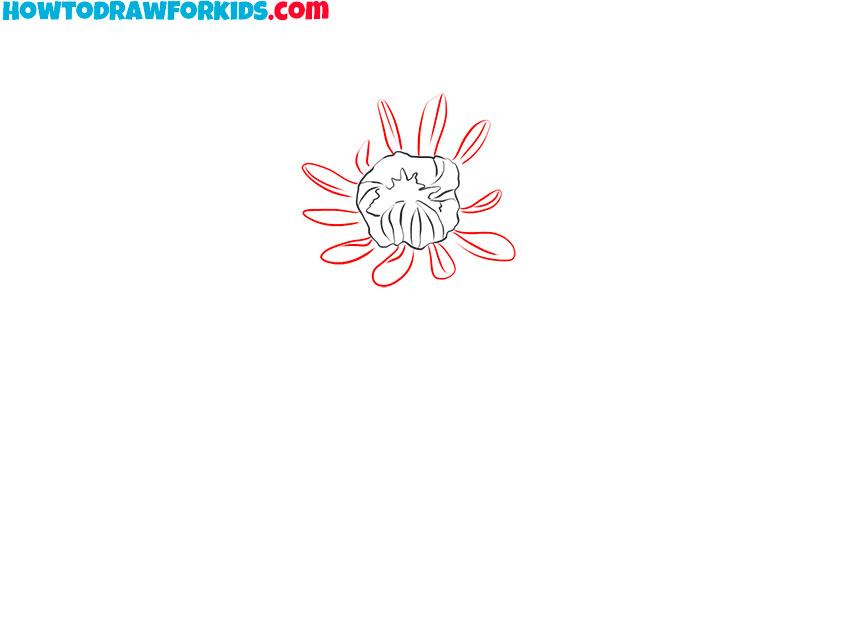 chrysanthemum drawing tutorial