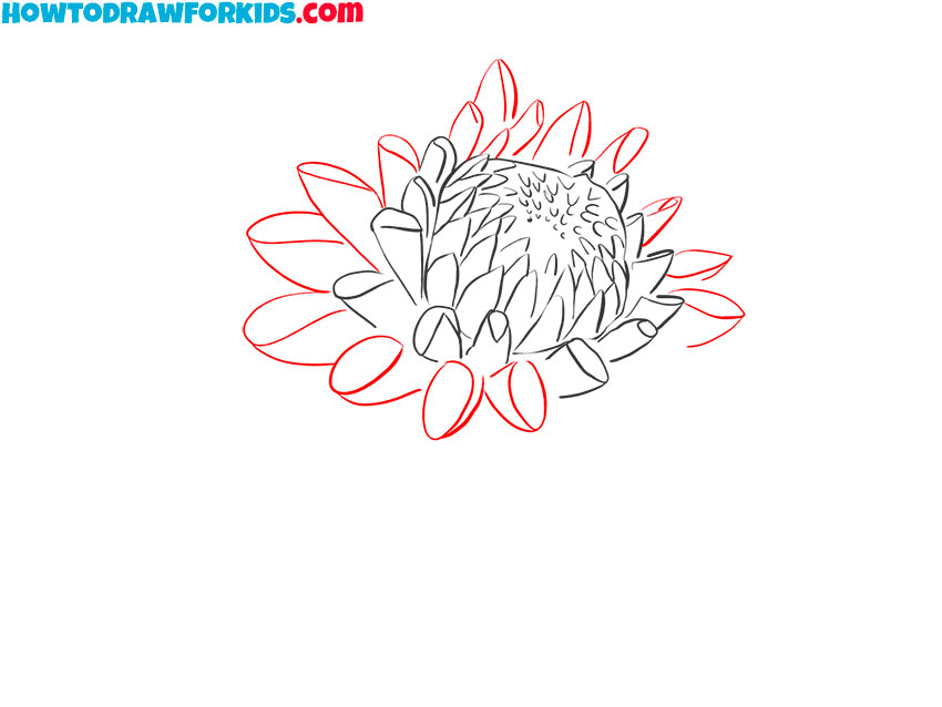 how to draw a dahlia easy