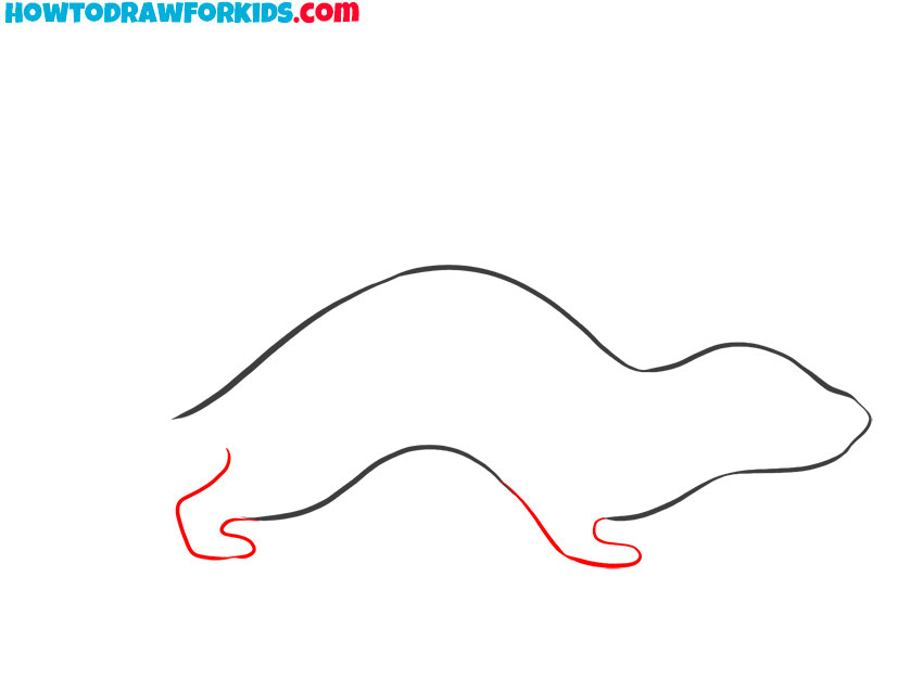 how to draw a ferret cartoon