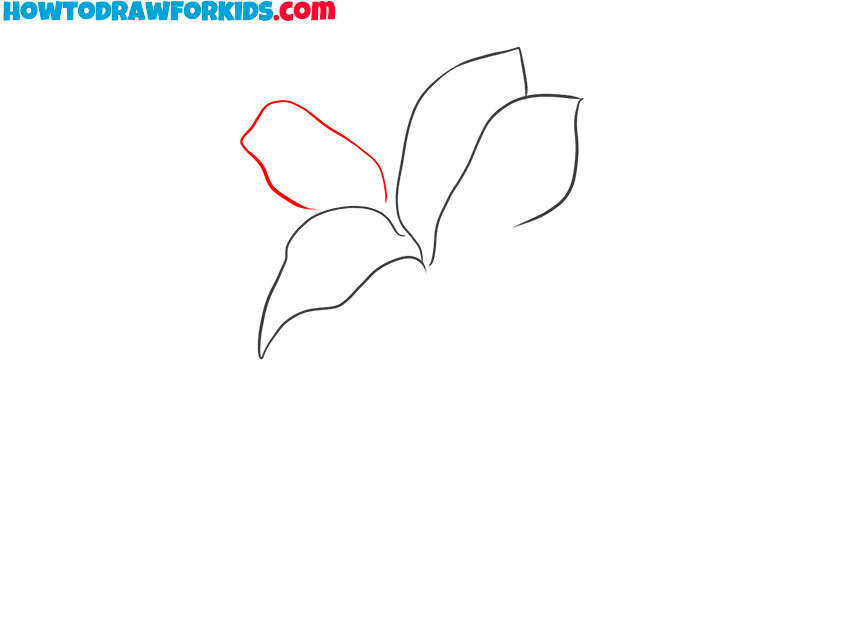 how to draw a lily easy