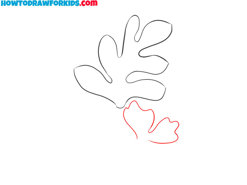 how to draw a realistic hawaiian flower