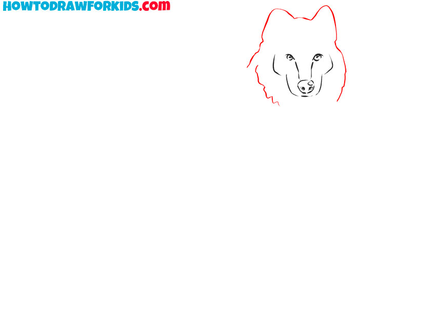 how to draw a realistic wolf full body