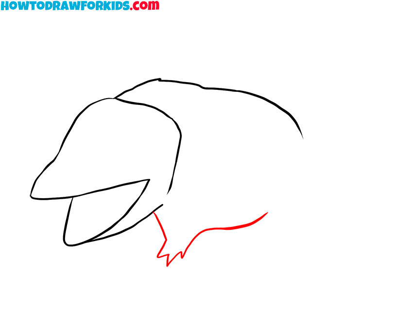opossum drawing tutorial