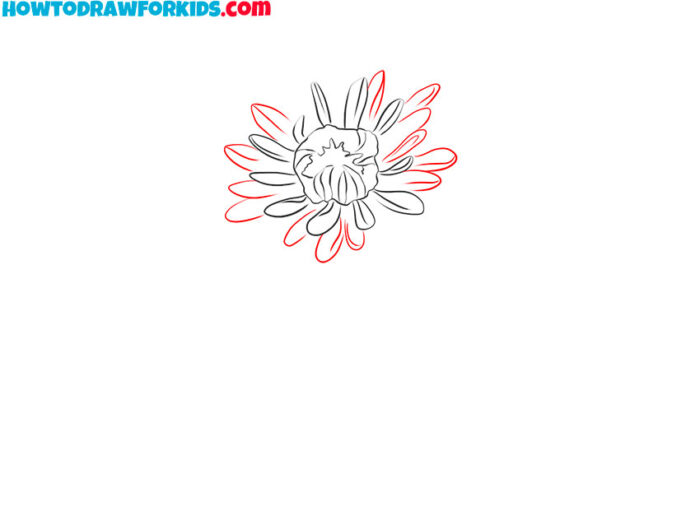 How to Draw a Chrysanthemum Easy Drawing Tutorial For Kids
