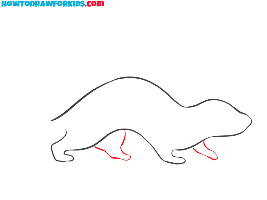 how to draw a cartoon ferret step by step