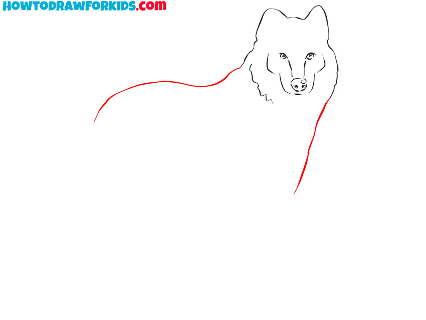 how to draw a realistic wolf with pencil