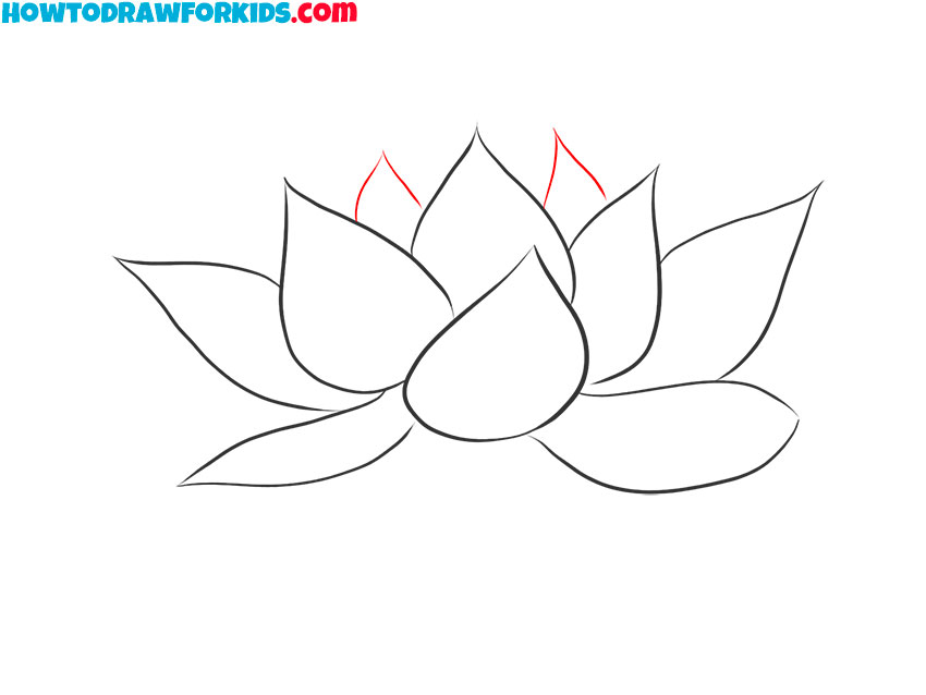 lotus flower drawing lesson