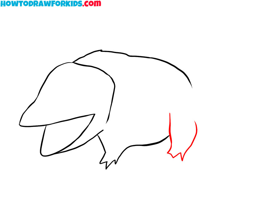 opossum drawing lesson