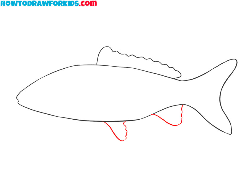 realistic fish drawing easy