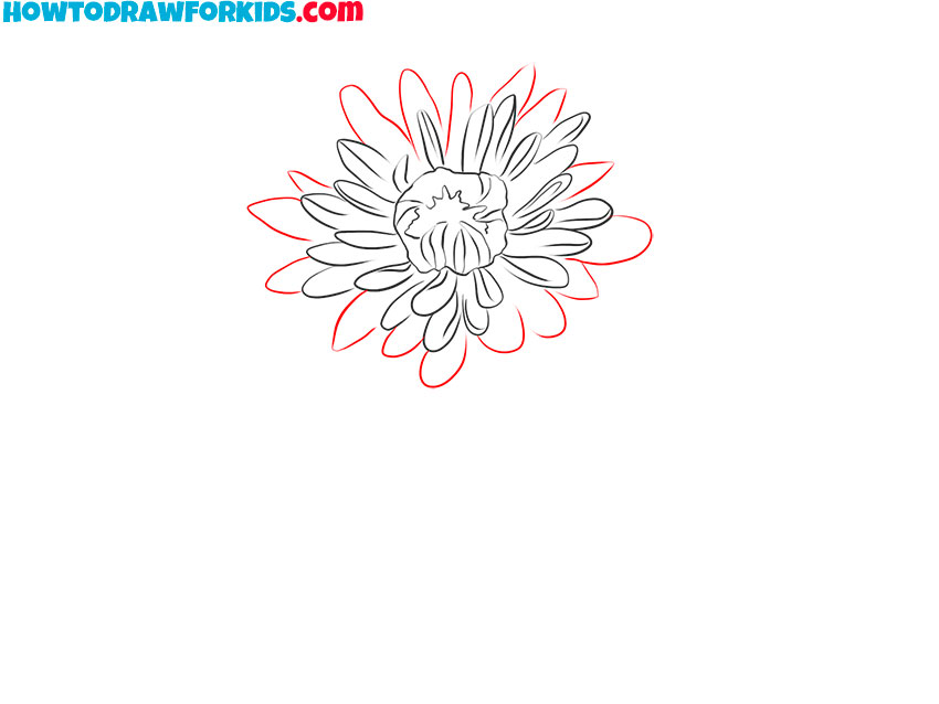 chrysanthemum drawing cartoon