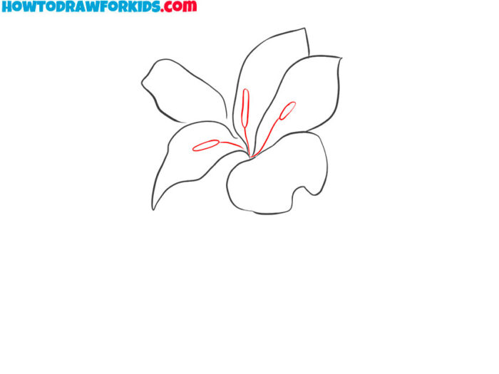 How to Draw a Lily - Easy Drawing Tutorial For Kids