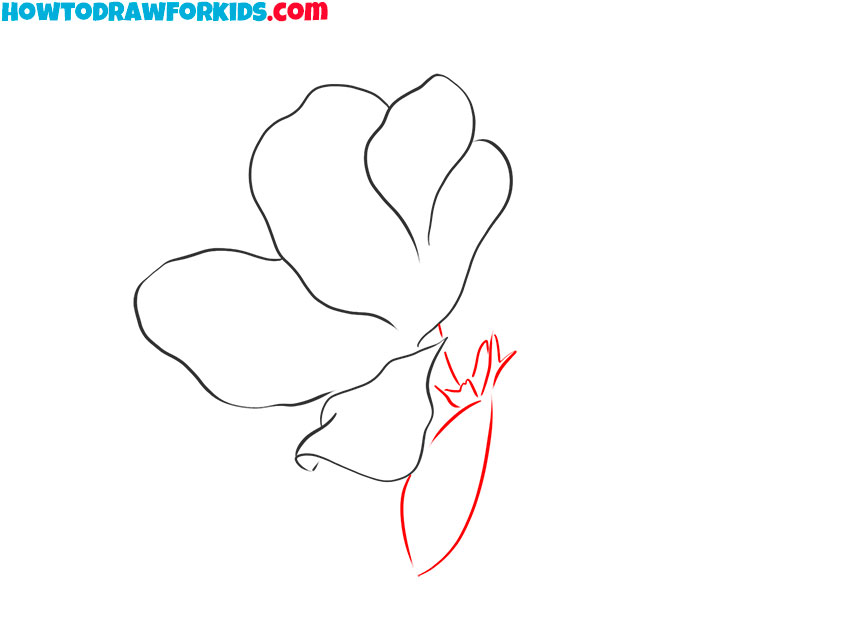 how to draw a beautiful pink flower