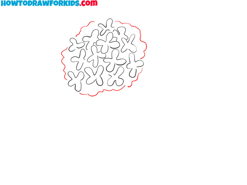 hydrangea drawing simple