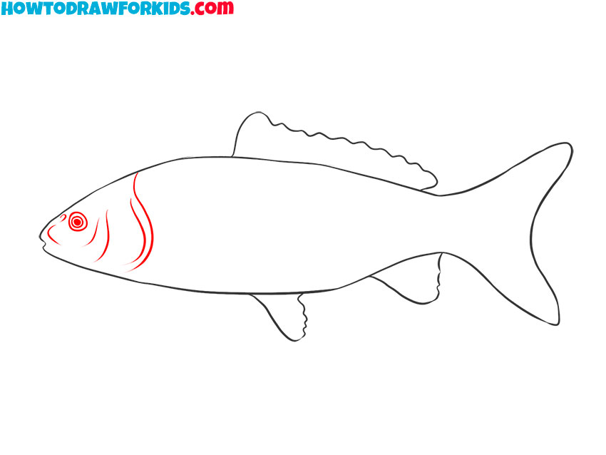 realistic fish drawing tutorial