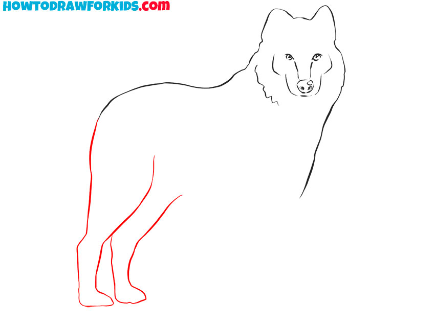 realistic wolf drawing tutorial