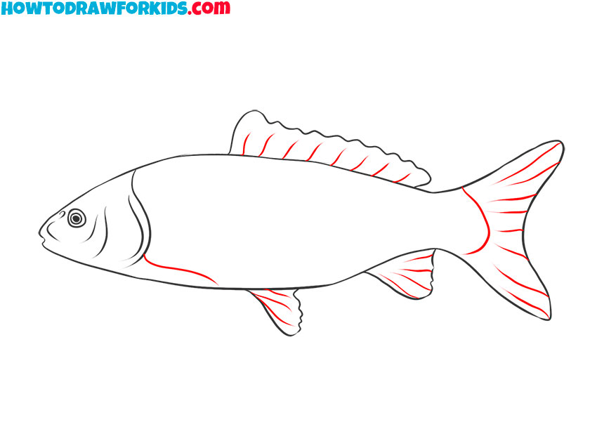 How to Draw a Realistic Fish Easy Drawing Tutorial For Kids