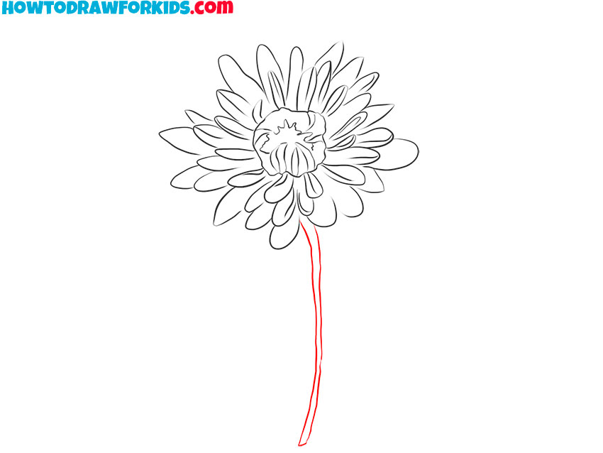 easy simple chrysanthemum drawing