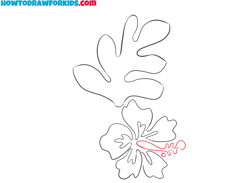 hawaiian flower drawing step by step