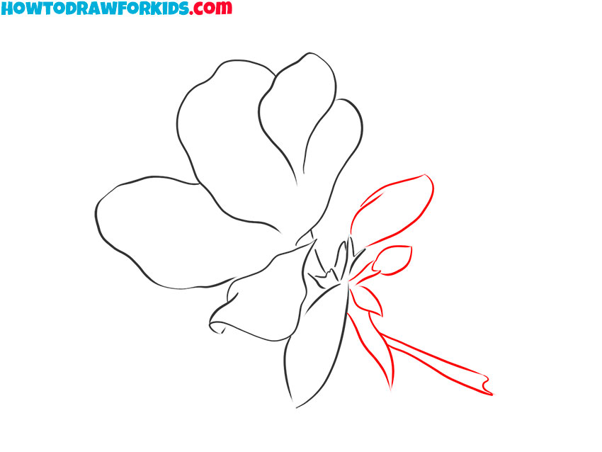 how to draw a beautiful realistic flower
